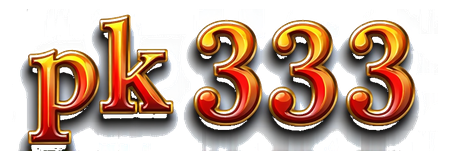 pk 333 logo